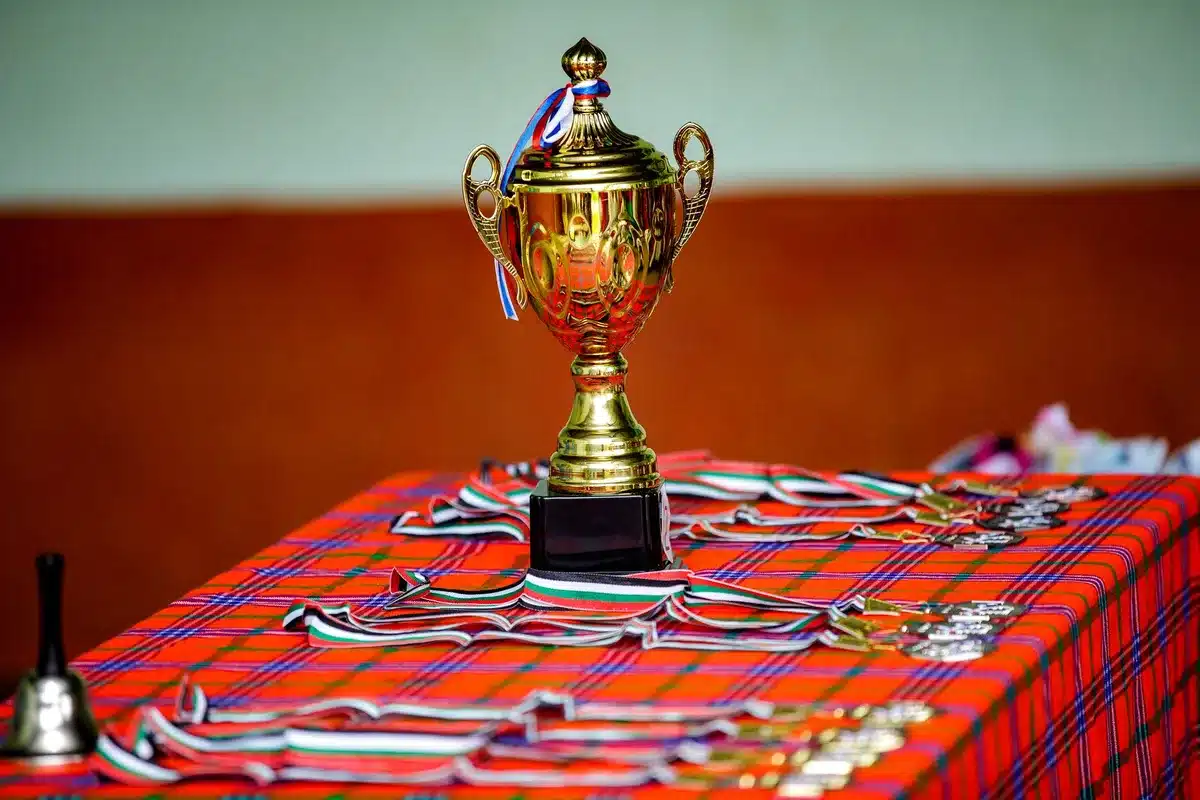 Lifetime achievement award ceremony at a major international film festival