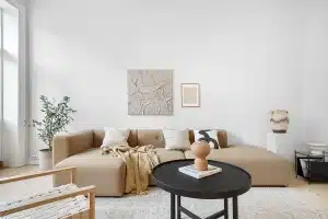 Modular sofa with layered rug and potted plant in a bright living room